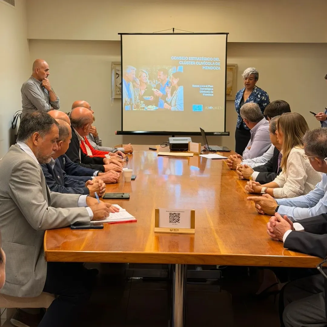 Consejo Estratégico Clúster Olivícola - Presentación
